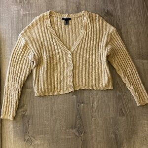 Forever 21 cropped sweater